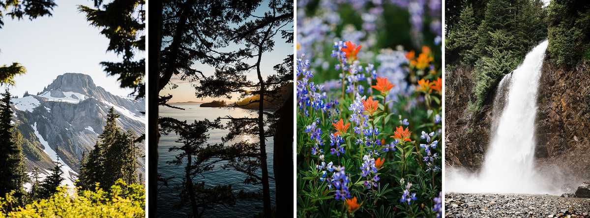 National Park Elopement Photography in Washington - Wedding Ideas