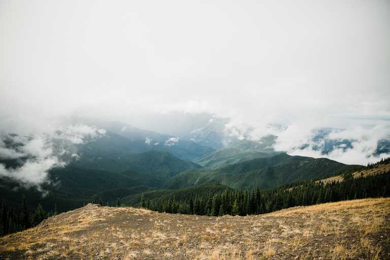 Hurricane-Ridge-Adventure-Wedding-Olympic-National-Park-Elopement-Photographer